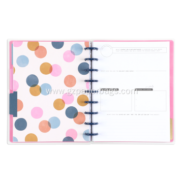Custom Disc-Bound Monthly Money Budget Planner